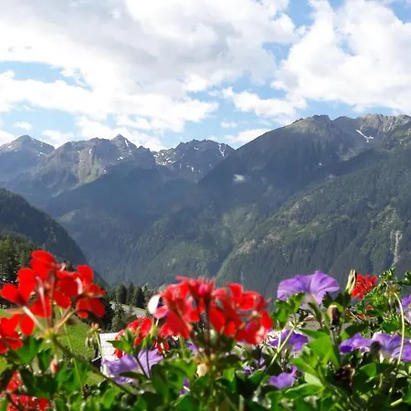 Haus Edelweiss Bed & Breakfast