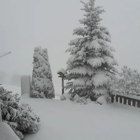 Bed & Breakfast Haus Edelweiss *